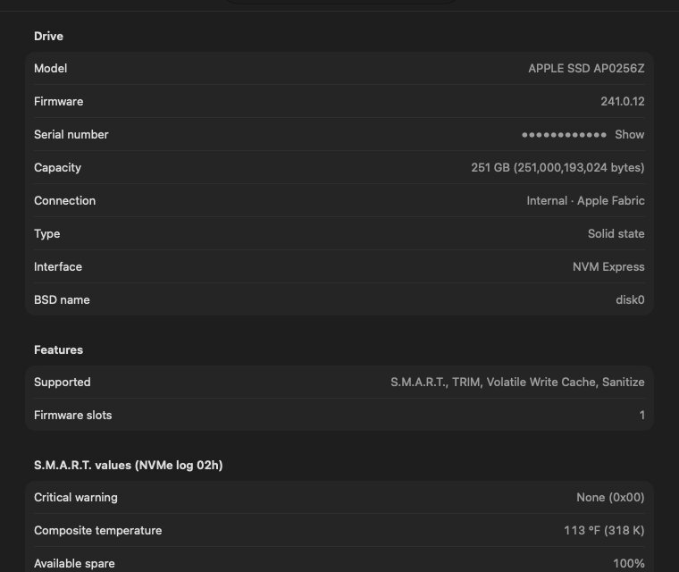 oDisk's Details page with every raw S.M.A.R.T. value, like CrystalDiskInfo's attribute list